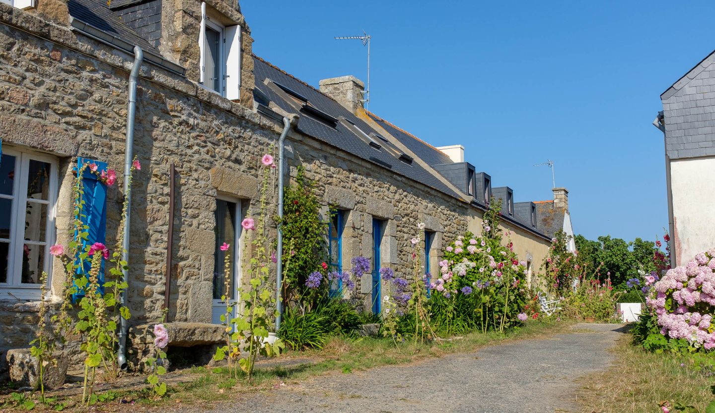 Maisons du bourg d'Hoedic avec roses trémières